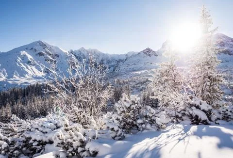 Sunny winter day in the mountains Stock Photos
