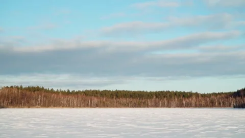 Sunny winter day, panoramic view of the forest. White snow and blue sky. Stock Footage 263794170
