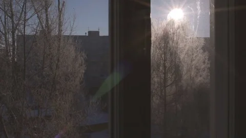 Sunny winter day. Window view: frost trees, sun and city landscape, lens flare Stock Footage 74434502