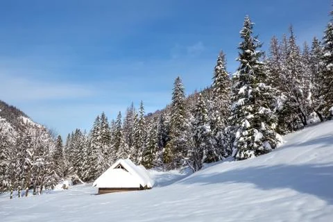 Sunny winter landscape Foto stock