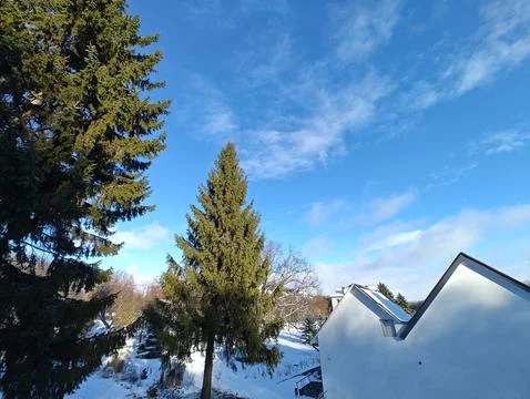 Sunny winter landscape Stock Photos