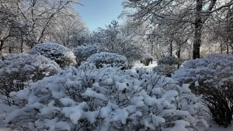 Sunny Winter Park Path With Snow Covered Benches And Bushes Vídeo Stock 328707726