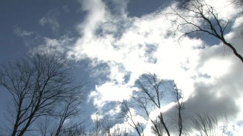 Sunny winter sky Video stock 344152