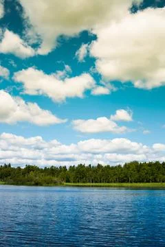 Sunny_lake_with_trees_and_beautiful_clouds_teal_and_orange_sweden Stock Photos