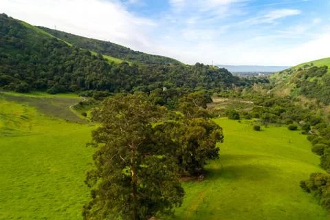 Sunol Brick Yard Stock Photos