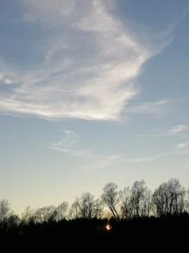 Sunpoint behind  trees Stock Photos