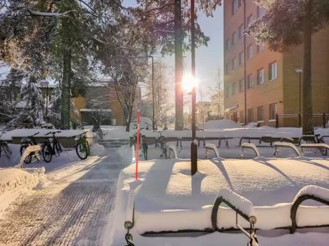 Sunray through tree log with beautiful outdoor vibes and shiny reflection fro Stock Photos