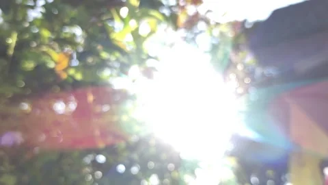 Sunray1 Stock Footage 335668750