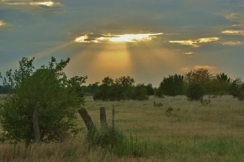 Sunray's from above in a pasture Stock Photos