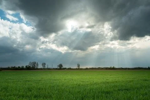 Sunrays and clouds over a green field Stock Photos