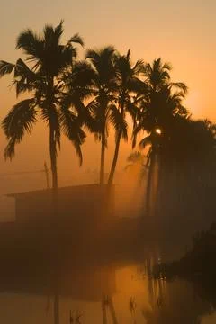Sunrays behind from coconut trees at punchakeri, Trivandram, Kerala, India Stock Photos
