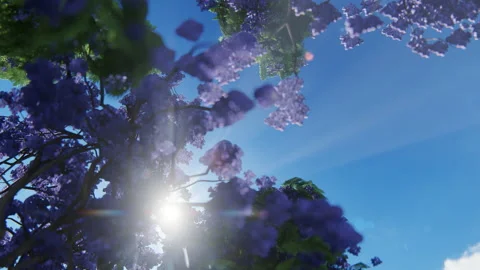 Sunrays breaking through jacaranda tree and flowers, 4K Stock-Footage 134693356