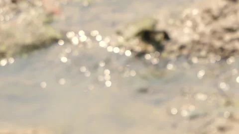 Sunrays Flickering In Water Stream Stock Footage 136149668
