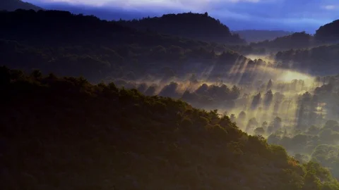 Sunrays on the fog at Graveyard Fields, NC Stock Footage 103401168