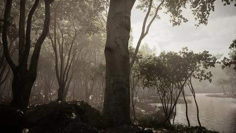 Sunrays in a forest on a hazy morning Stock Illustration