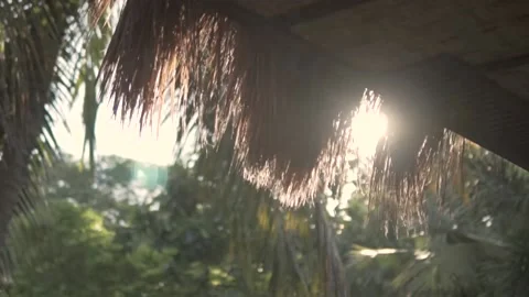 Sunrays on a Hay Roof Stock Footage 159798720
