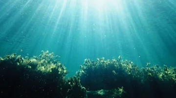 Sunrays over reef in Mediterranean sea Stock Footage 85695417