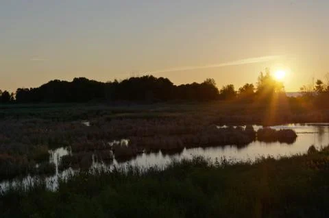 Sunrays over wetlands Stock Photos