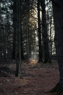 Sunrays Stock Photos