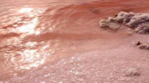 The sunrays reflections on the surface pink lake Stock Footage 75251574