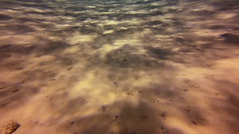 Sunrays on sandy ocean bottom climate Stock Footage 317190070