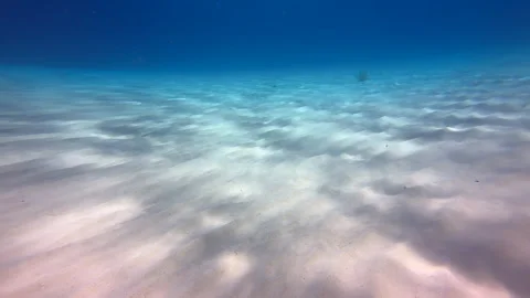 Sunrays on sandy ocean floor Stock Footage 317187257