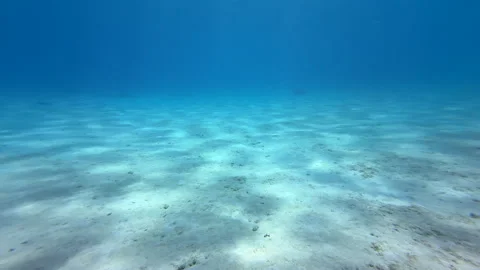 Sunrays on sea floor Stock Footage 317187385