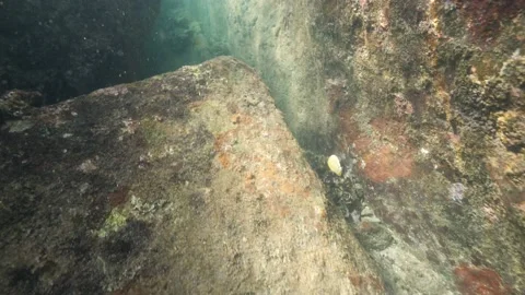Sunrays shining through a small path at underwater rock cave. Stock Footage 135366549
