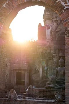 Sunrays shining through temple filled with monkeys Fotos de archivo