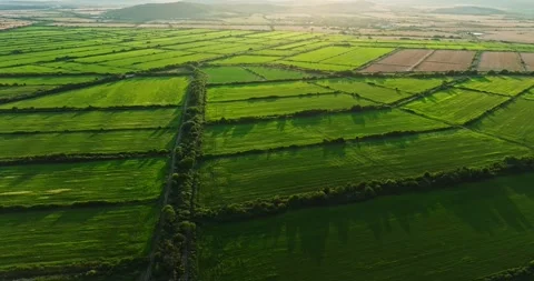 Sunrays Shining On Vast Vibrant Green Farm Parcel In Central Bulgaria Bio Stock Footage 300509062