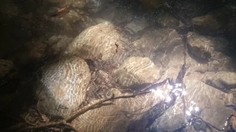 Sunrays sparkling on the water stream Video stock 201591218