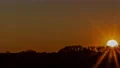Sunrays As The Sun Settles Behind The Trees - 4k Time Lapse 4k or 4k+ Resolution
