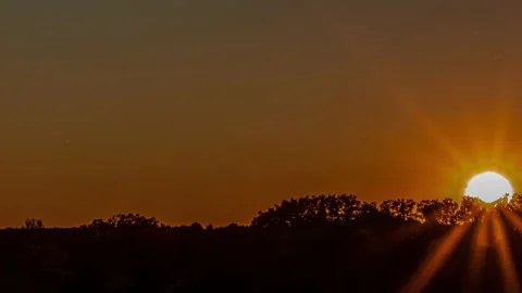 Sunrays As The Sun Settles Behind The Trees - 4k Time Lapse Video stock 142622204