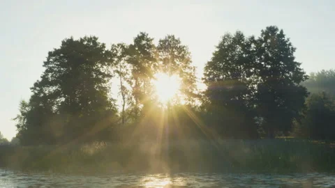 Sunrays through branches of trees on lake in early summer morning Vidéo 93302439