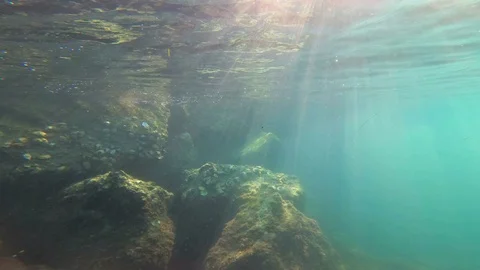 Sunrays under sea with rocks and seashells Stock-Footage 94437220
