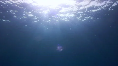 Sunrays from underwater Video stock 738358