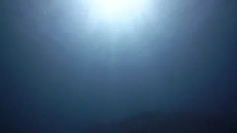 Sunrays from underwater Stock Footage 256647916