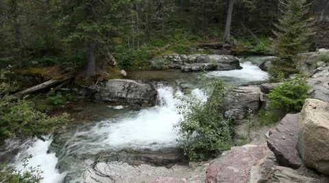 Sunrift creek Video stock 9424102