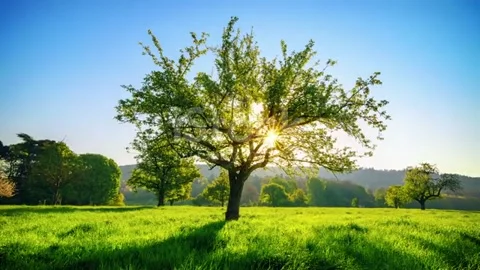 Sunrise 09.09.21 Video stock 234150992