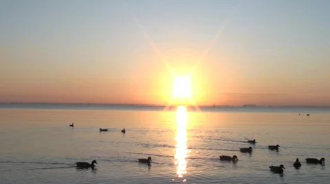 Sunrise 1 Stock Footage 538145