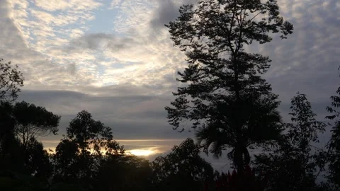 Sunrise (1) Stock Footage 309443753