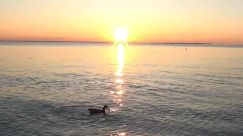 Sunrise 4 Video stock 538156