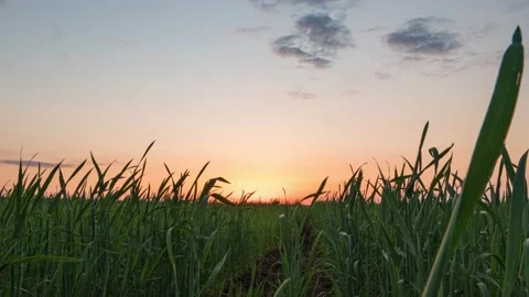 Sunrise 4k. Clouds and Sun Rising Sky Time Lapse. Closeup Telephoto Lens. Travel Stock Footage 220192365