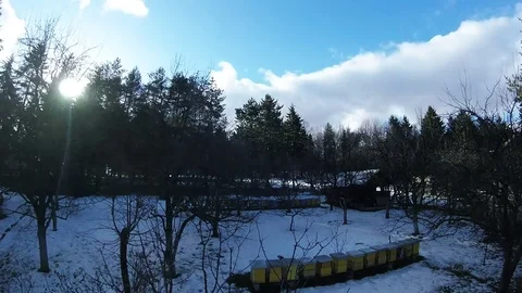 Sunrise above my apiary - Timelapse Video stock 85394366