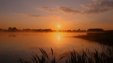 Sunrise above the pond with cloudy sky at summer. Stock Footage 108858623