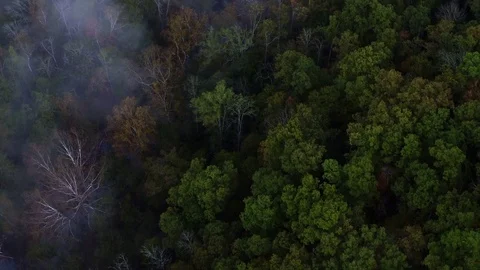 Sunrise Aerial Red River Gorge / Daniel Boone Forrest / Appalachian Mountains Stock Footage