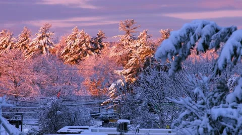 Sunrise After Snow Storm Stock Footage 44356616