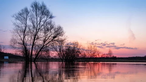 Sunrise along the coast of the river. Stock Footage 153133323