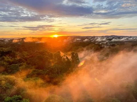 Sunrise in the Amazon rainforest Stock Photos