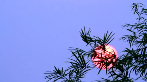 Sunrise  and blue sky Video stock 22774467